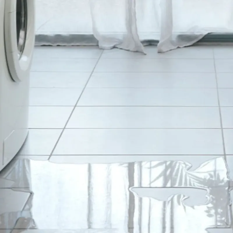 Appliance Leak Cleanup in Boaz, WV