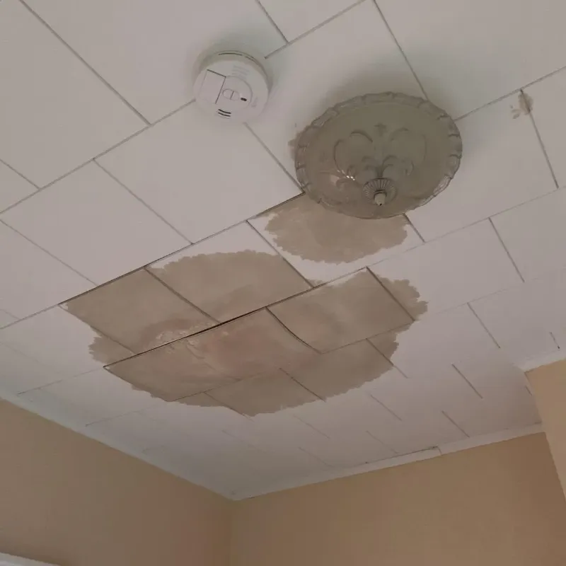 Ceiling Water Damage Repair in Boaz, WV
