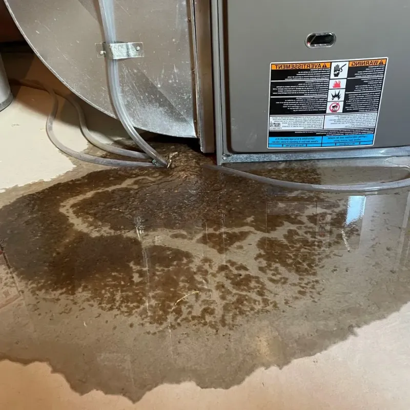 Pipe Burst and Leak Restoration in Boaz, WV