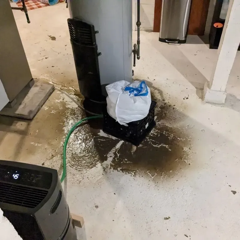 Sewage Backup Cleanup Service in Boaz, WV
